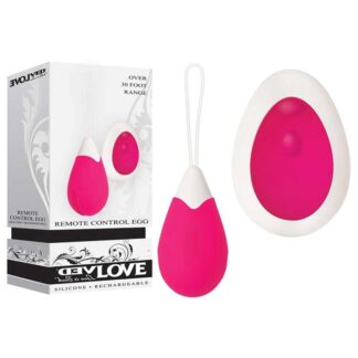 Remote control egg