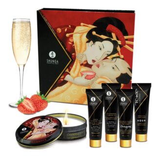 Shunga - Ensemble Secret De Geisha