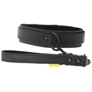 Boundless Collar & Leash