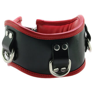 Leather Posture Collar with 3 D-Rings in Black/Red