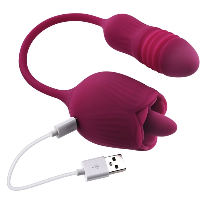 Wild Rose – Image 5