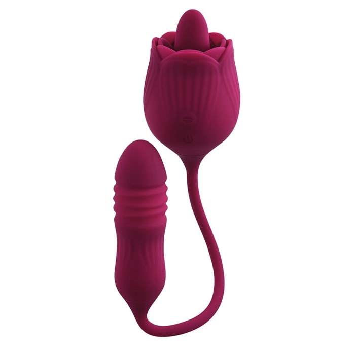 Wild Rose – Image 7