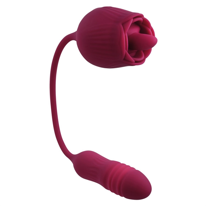 Wild Rose – Image 8