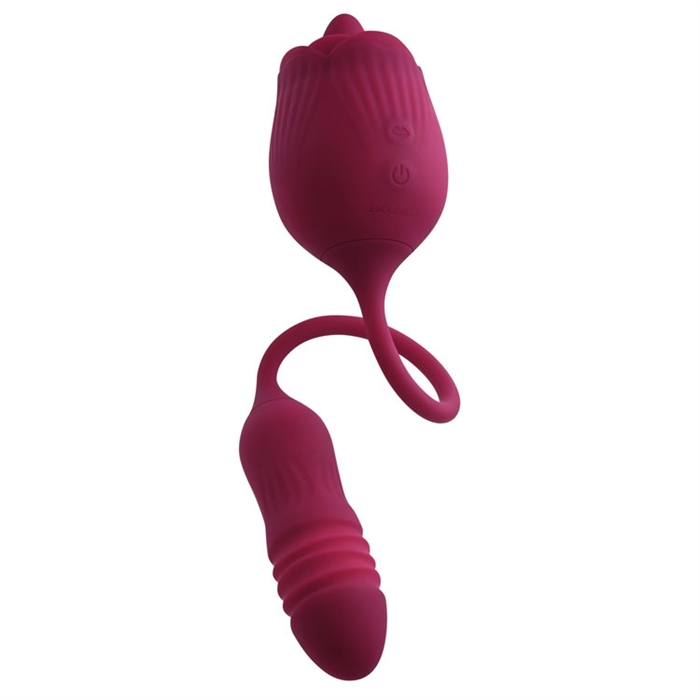 Wild Rose – Image 9